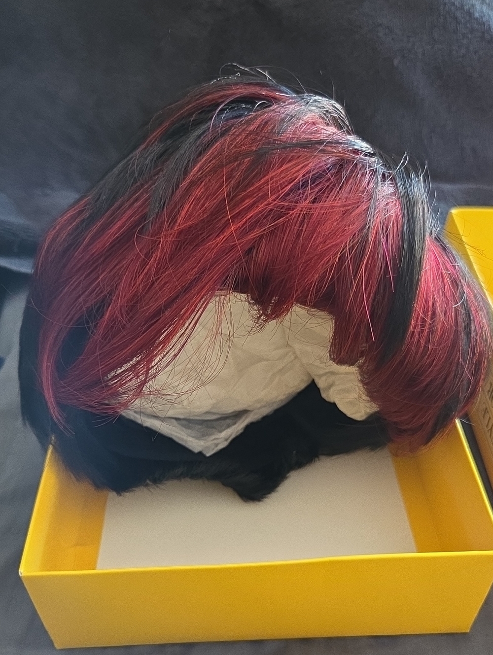 Black and Red Short Layered Women's Wig - Stylish Two-Tone Look